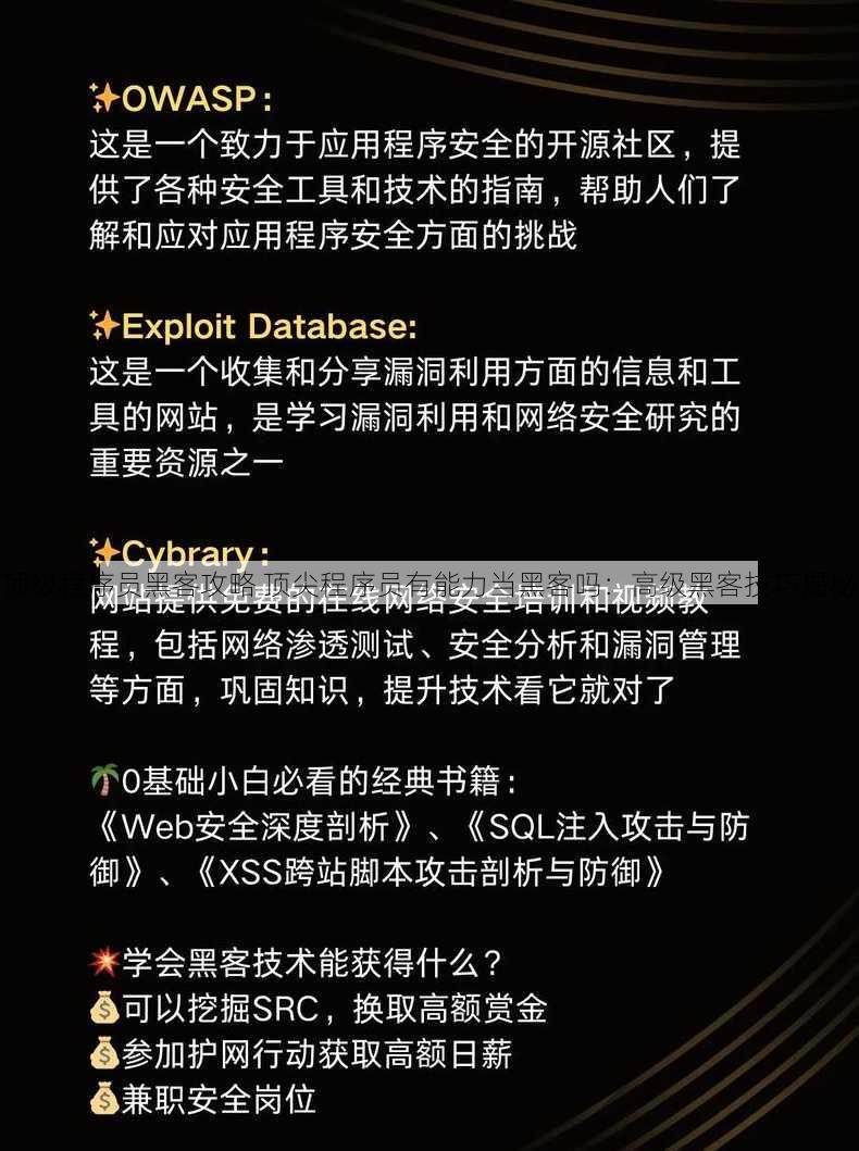 顶级程序员黑客攻略 顶尖程序员有能力当黑客吗：高级黑客技巧揭秘