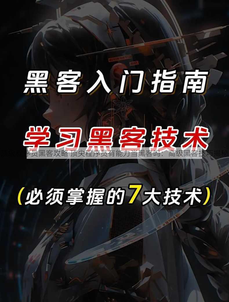 顶级程序员黑客攻略 顶尖程序员有能力当黑客吗：高级黑客技巧揭秘