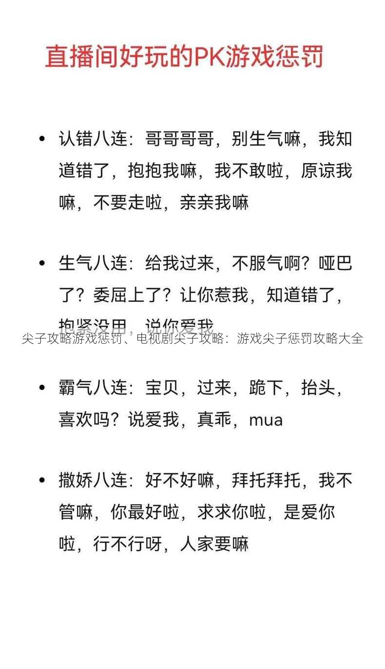 尖子攻略游戏惩罚、电视剧尖子攻略：游戏尖子惩罚攻略大全