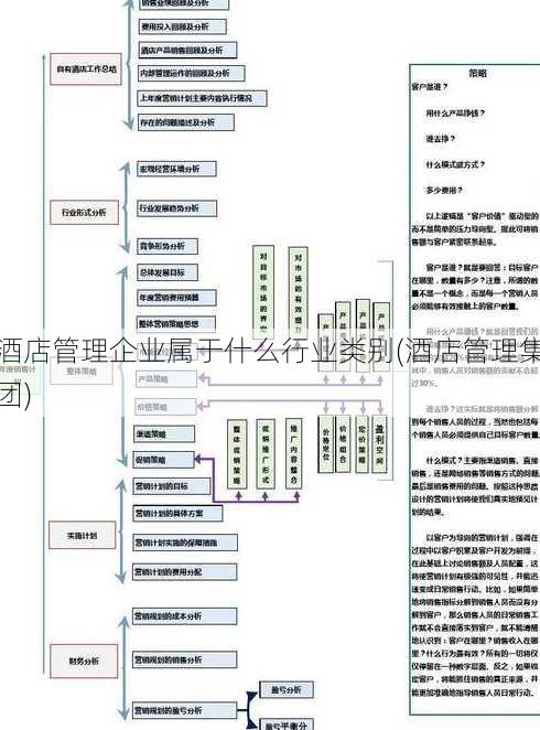 酒店管理企业属于什么行业类别(酒店管理集团)