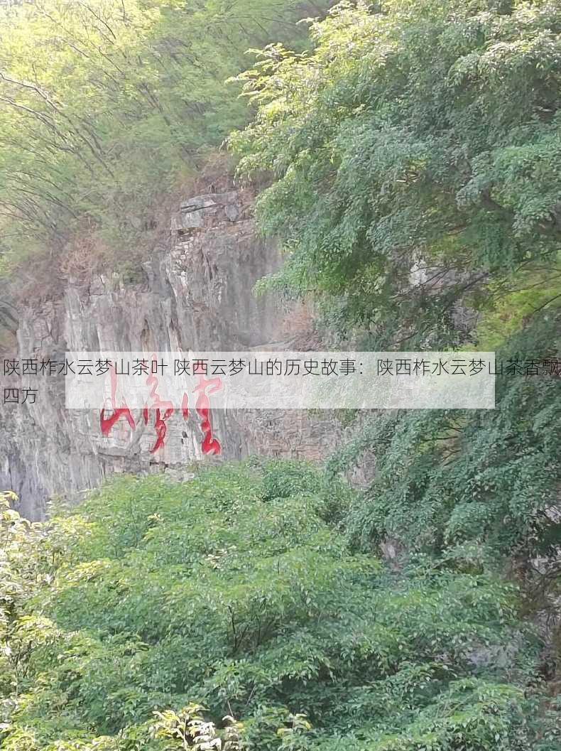 陕西柞水云梦山茶叶 陕西云梦山的历史故事：陕西柞水云梦山茶香飘四方