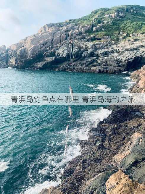 青浜岛钓鱼点在哪里 青浜岛海钓之旅