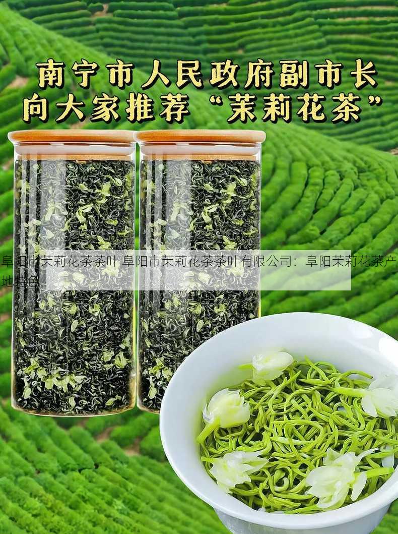 阜阳市茉莉花茶茶叶 阜阳市茉莉花茶茶叶有限公司：阜阳茉莉花茶产地特色