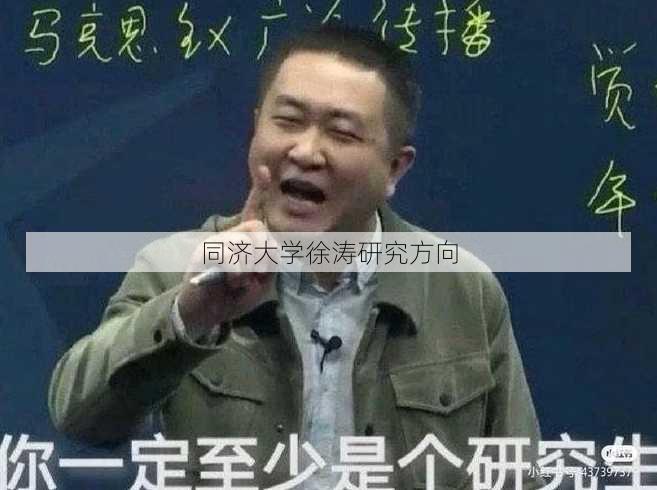 同济大学徐涛研究方向