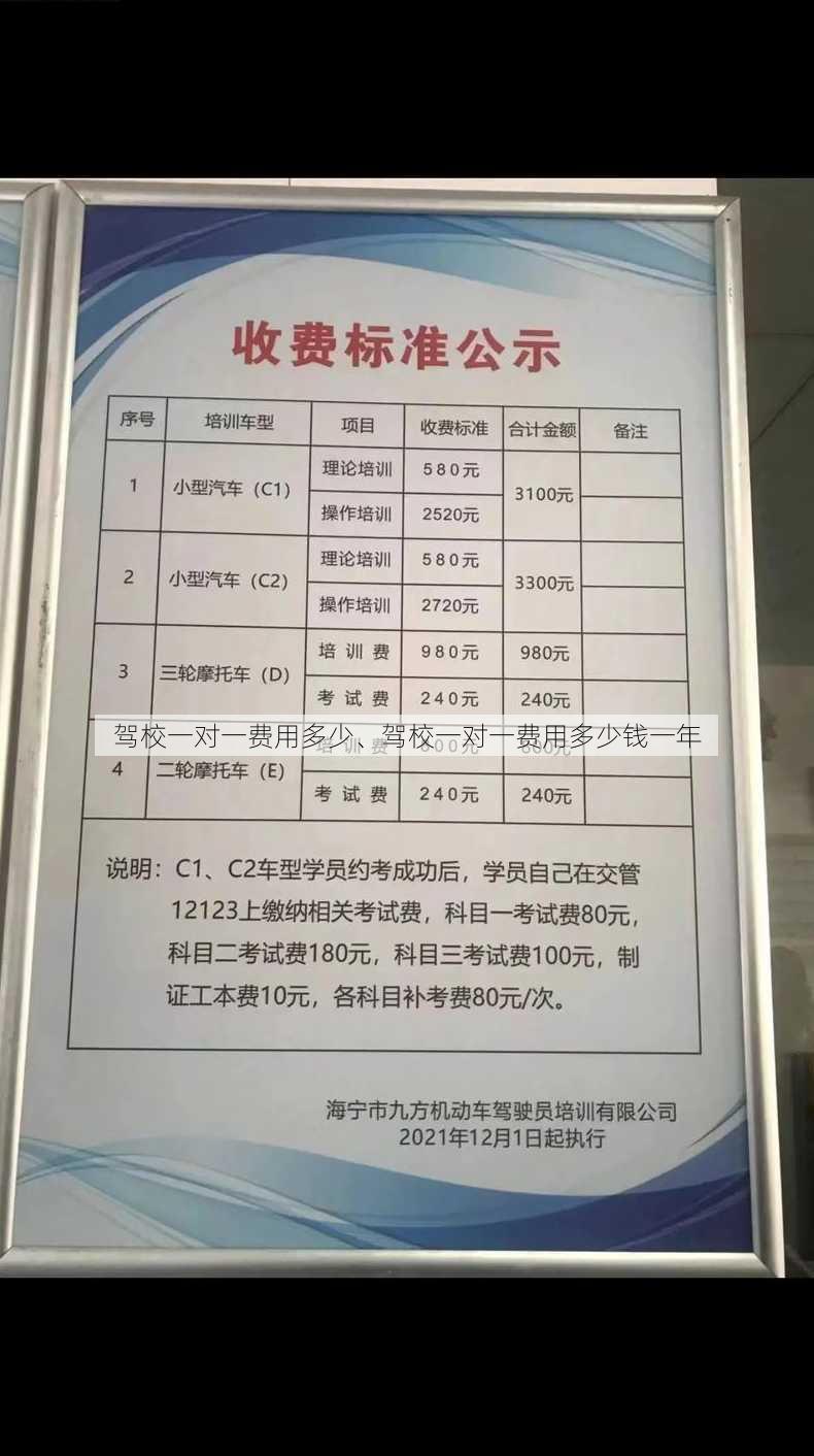 驾校一对一费用多少、驾校一对一费用多少钱一年