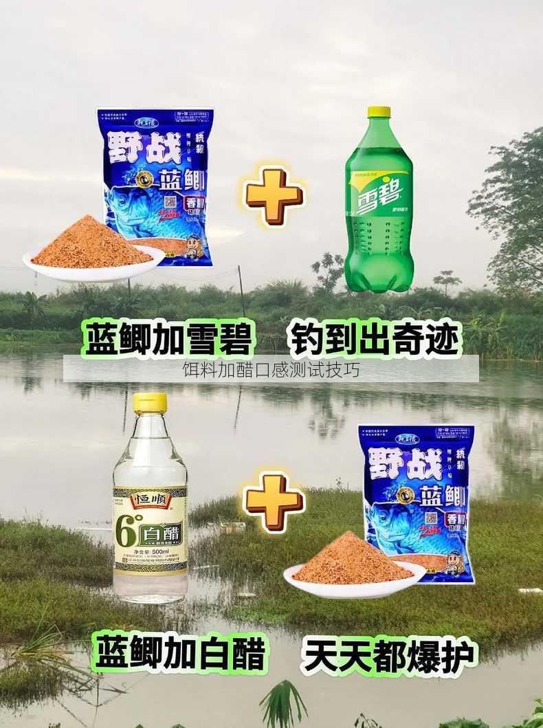 饵料加醋口感测试技巧