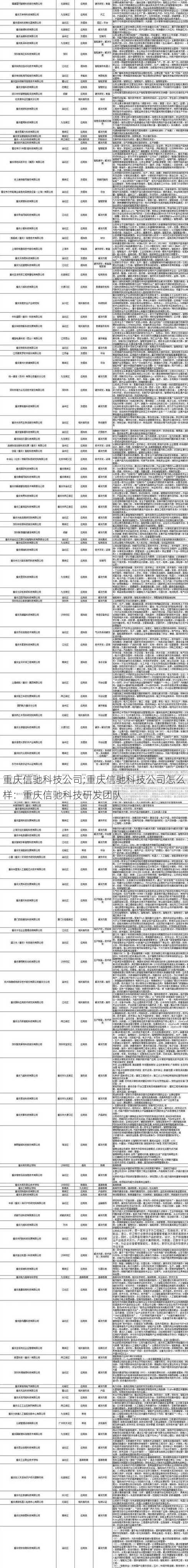 重庆信驰科技公司;重庆信驰科技公司怎么样：重庆信驰科技研发团队