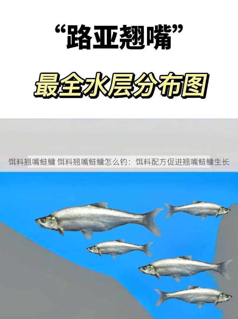 饵料翘嘴鲢鳙 饵料翘嘴鲢鳙怎么钓：饵料配方促进翘嘴鲢鳙生长