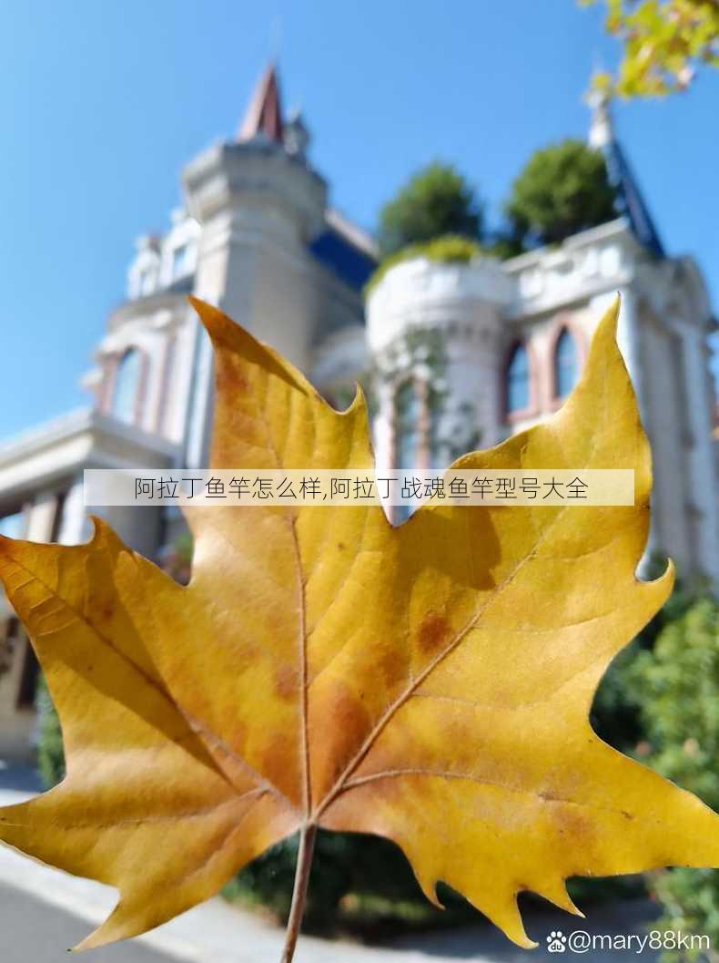 阿拉丁鱼竿怎么样,阿拉丁战魂鱼竿型号大全