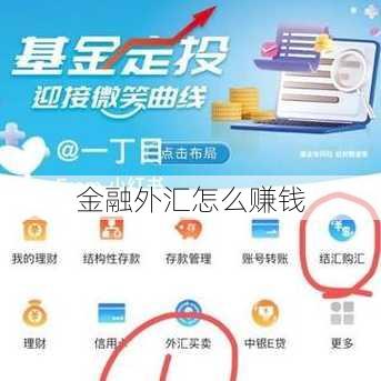 金融外汇怎么赚钱