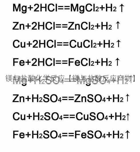 镁与盐酸化学反应【镁与盐酸反应产物】