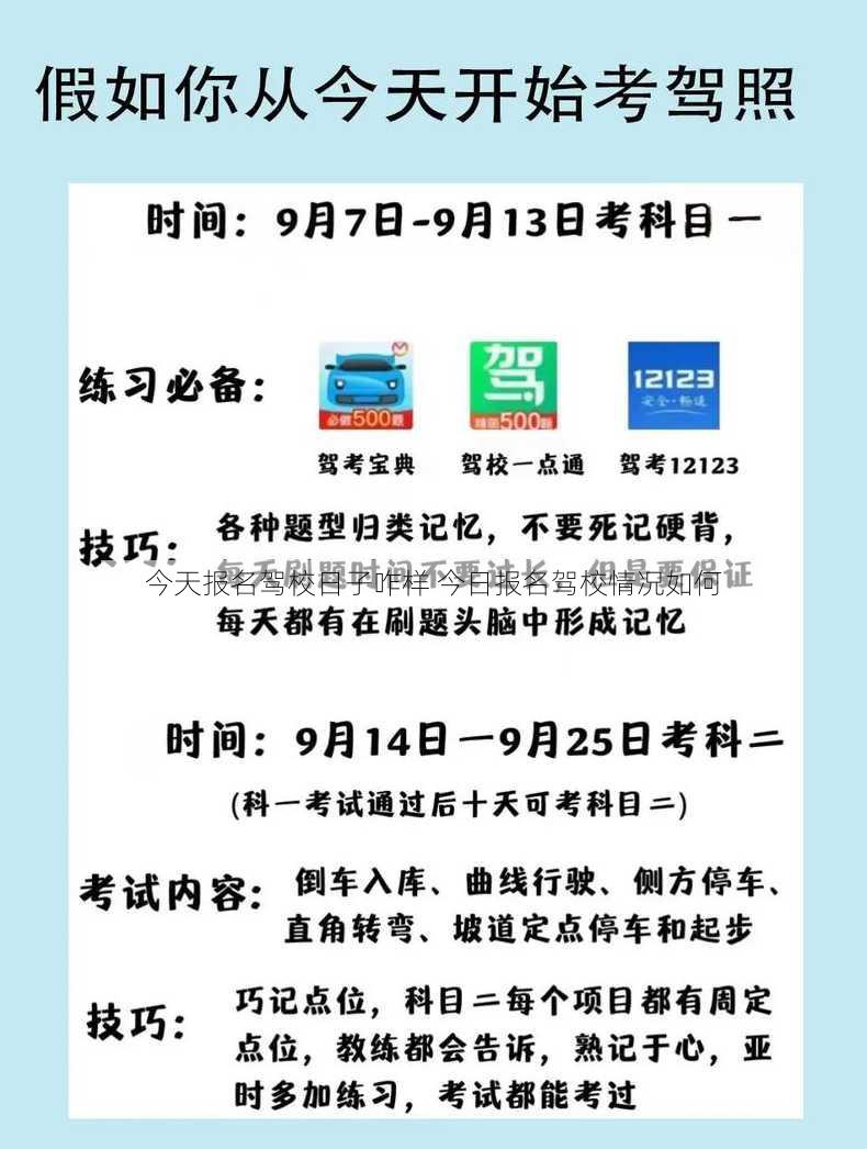 今天报名驾校日子咋样 今日报名驾校情况如何