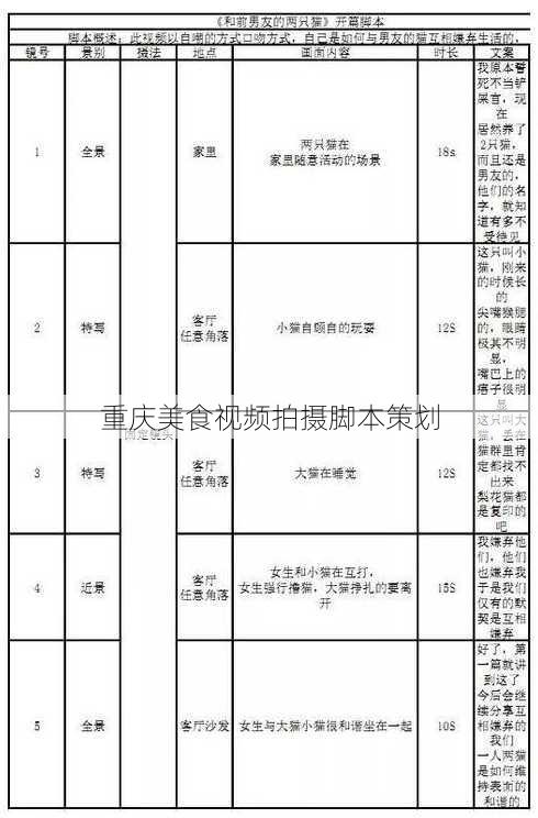 重庆美食视频拍摄脚本策划