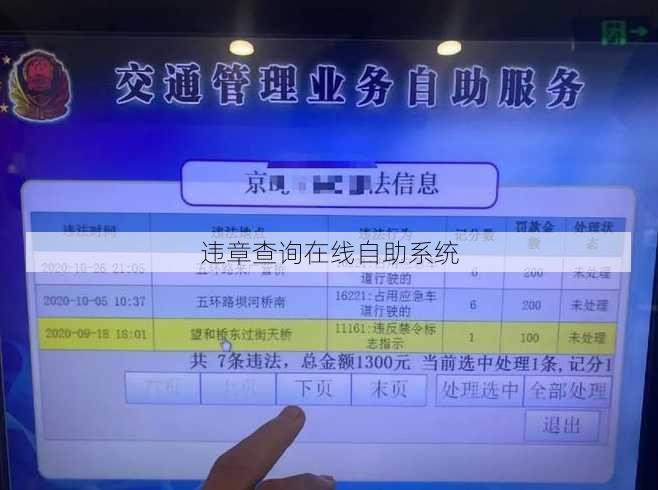 违章查询在线自助系统