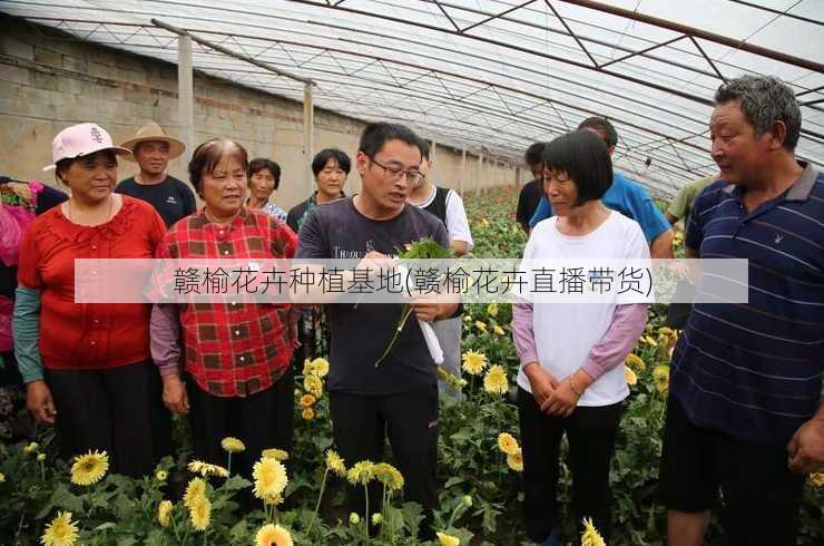 赣榆花卉种植基地(赣榆花卉直播带货)