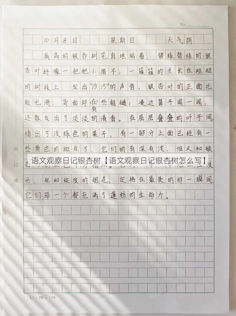 语文观察日记银杏树【语文观察日记银杏树怎么写】