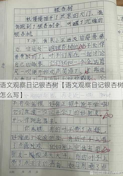 语文观察日记银杏树【语文观察日记银杏树怎么写】