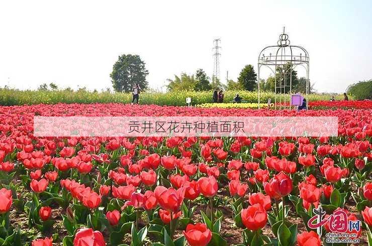 贡井区花卉种植面积