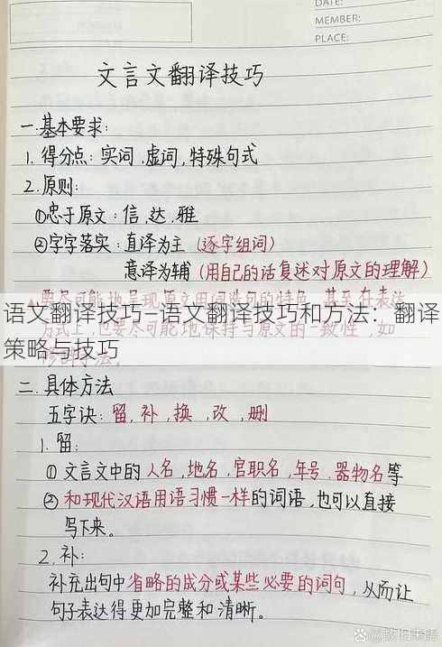 语文翻译技巧—语文翻译技巧和方法：翻译策略与技巧