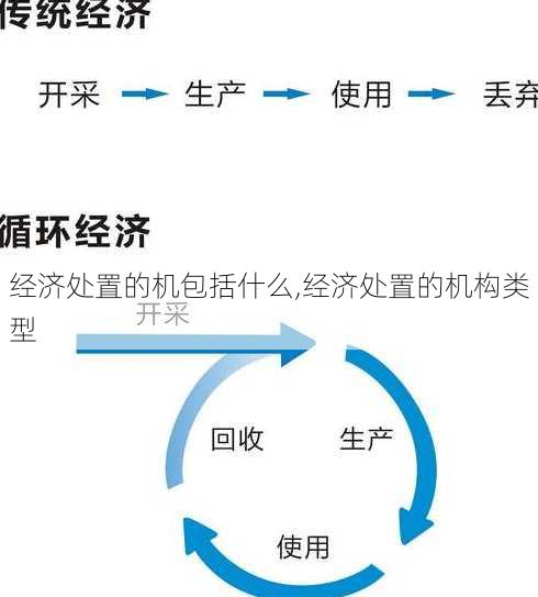 经济处置的机包括什么,经济处置的机构类型