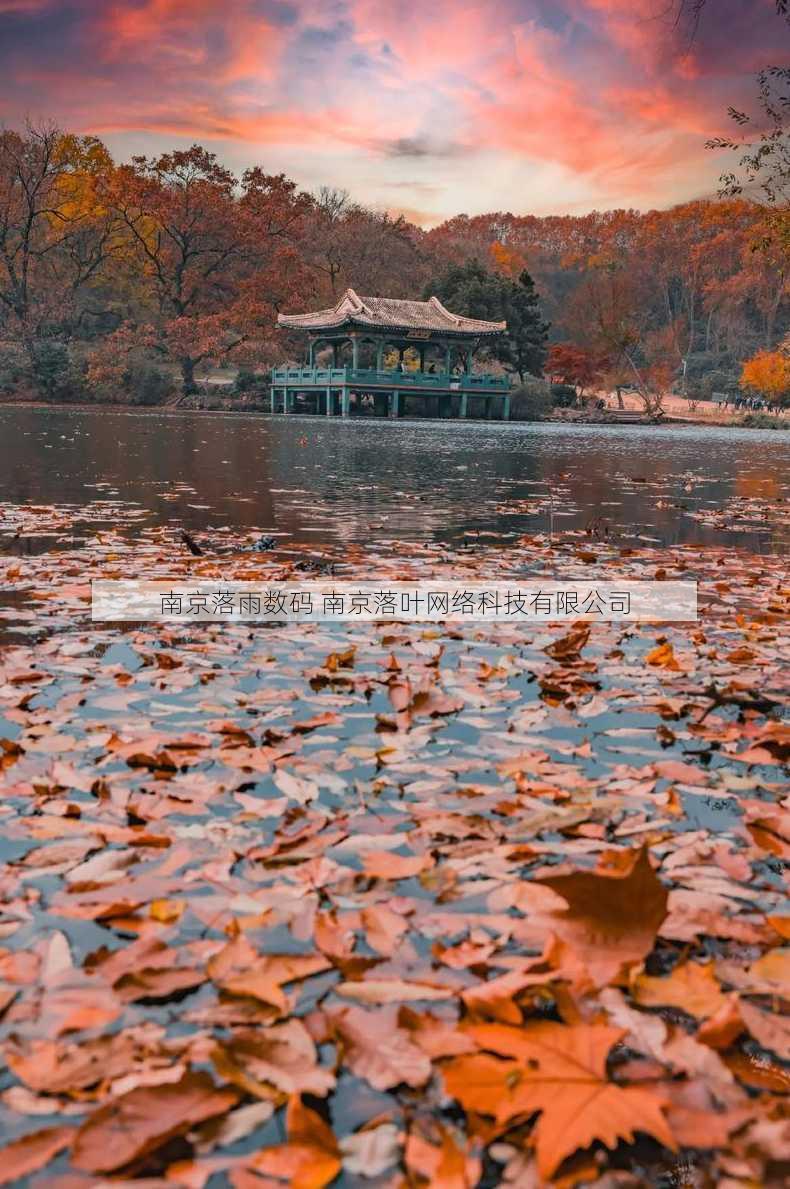 南京落雨数码 南京落叶网络科技有限公司