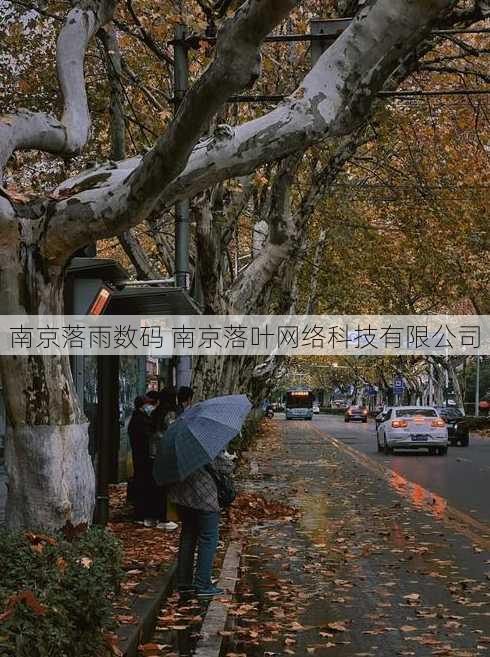 南京落雨数码 南京落叶网络科技有限公司