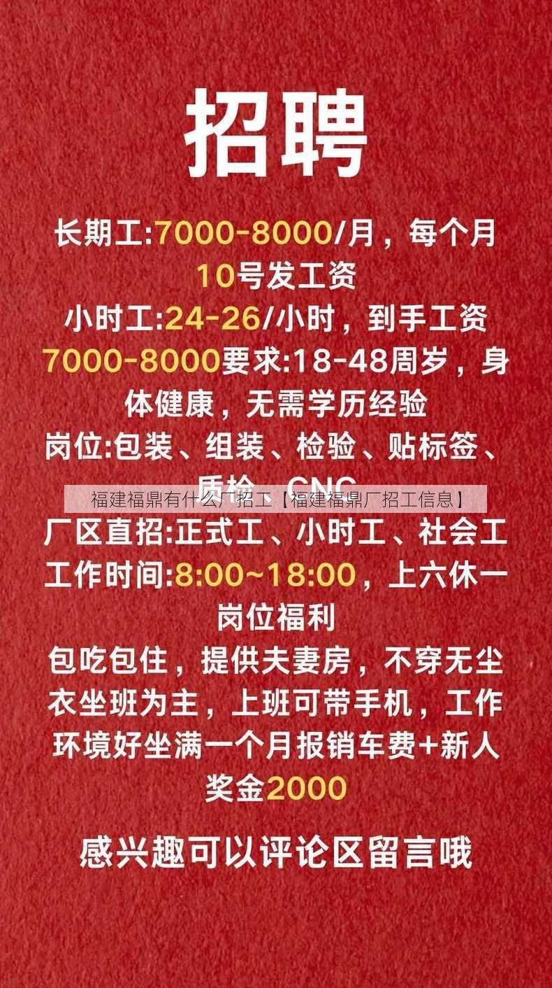 福建福鼎有什么厂招工【福建福鼎厂招工信息】