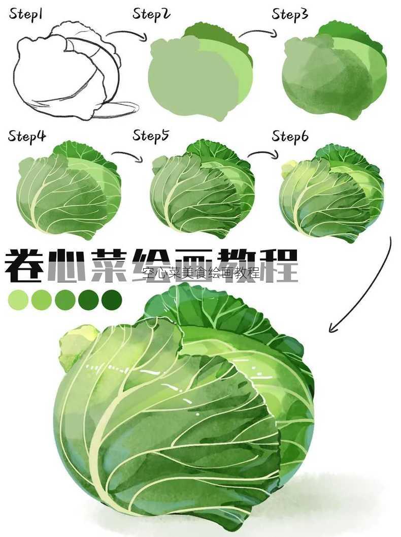 空心菜美食绘画教程