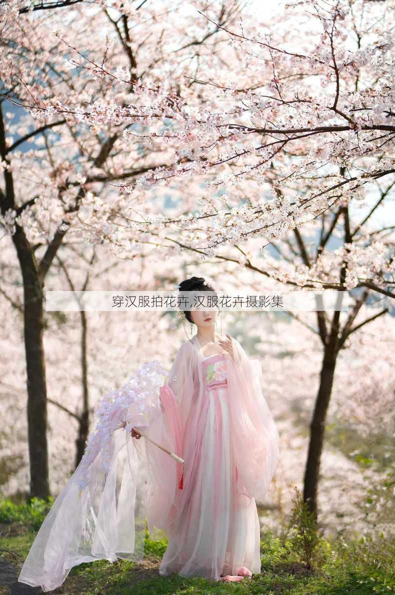 穿汉服拍花卉,汉服花卉摄影集