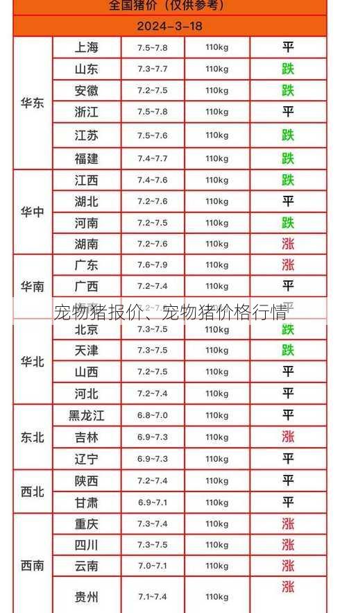 宠物猪报价、宠物猪价格行情