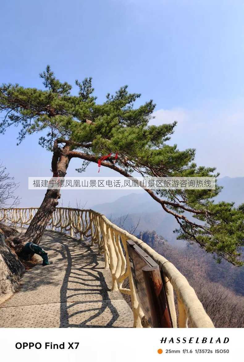 福建宁德凤凰山景区电话,凤凰山景区旅游咨询热线