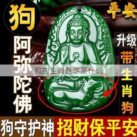 狗的生肖菩萨是什么