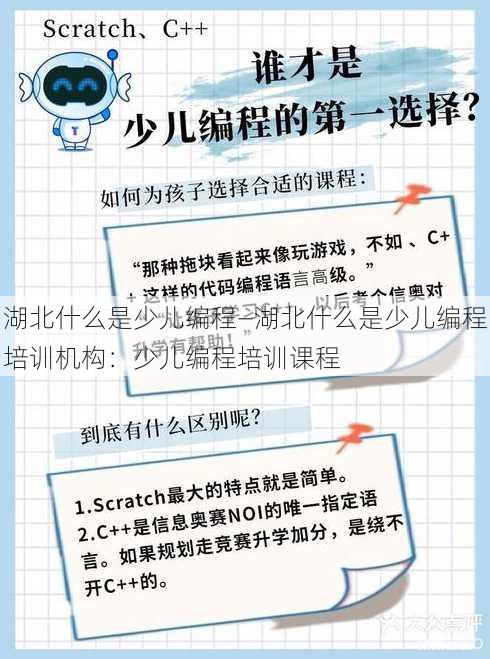 湖北什么是少儿编程—湖北什么是少儿编程培训机构：少儿编程培训课程