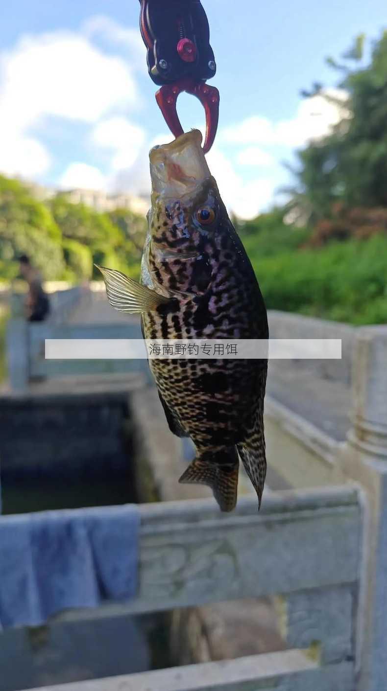 海南野钓专用饵