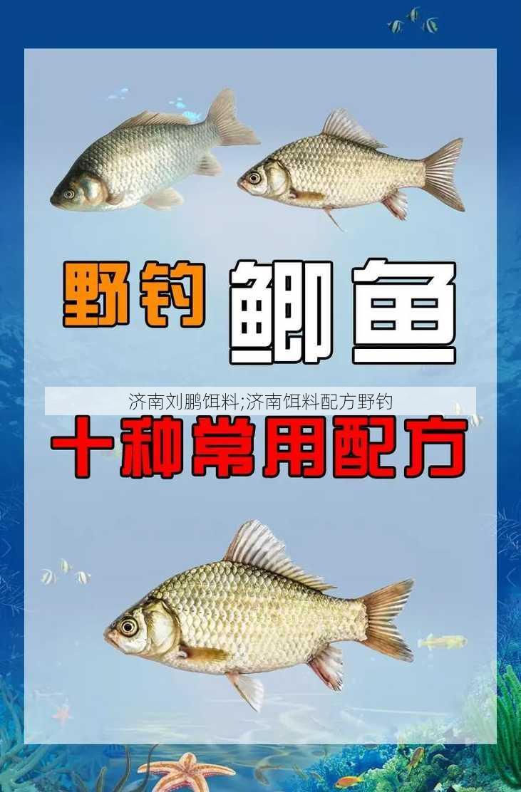 济南刘鹏饵料;济南饵料配方野钓