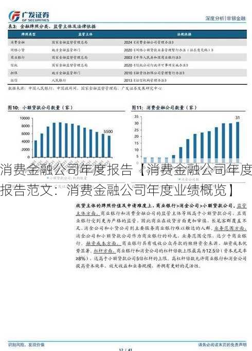 消费金融公司年度报告【消费金融公司年度报告范文：消费金融公司年度业绩概览】