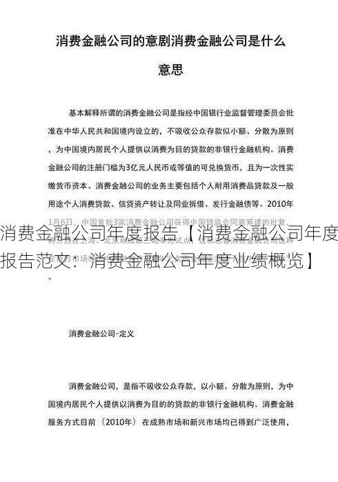 消费金融公司年度报告【消费金融公司年度报告范文：消费金融公司年度业绩概览】