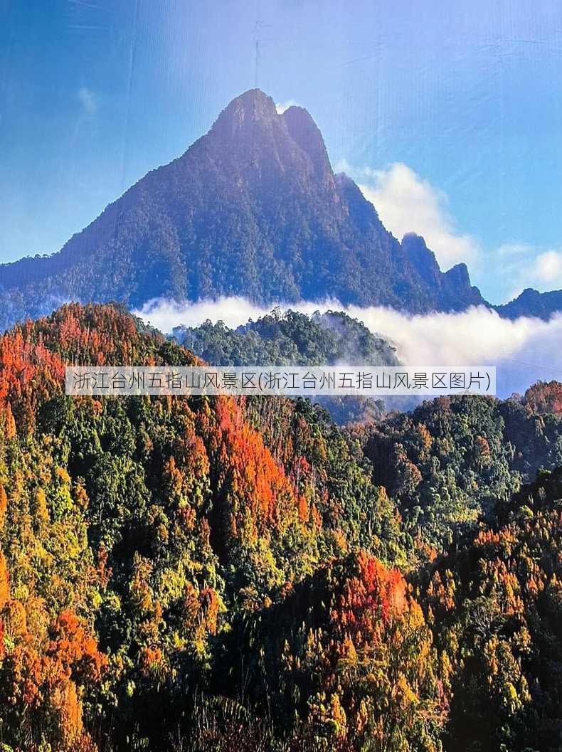 浙江台州五指山风景区(浙江台州五指山风景区图片)