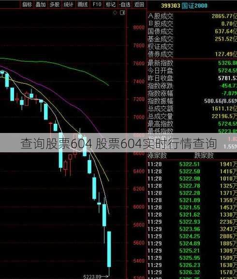 查询股票604 股票604实时行情查询