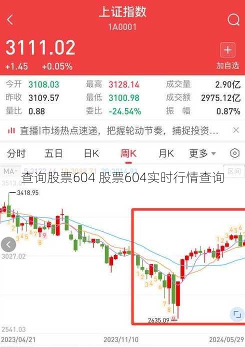 查询股票604 股票604实时行情查询