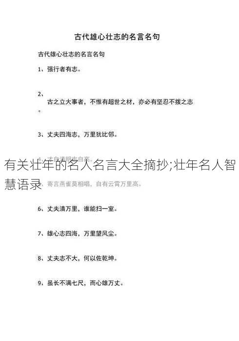 有关壮年的名人名言大全摘抄;壮年名人智慧语录