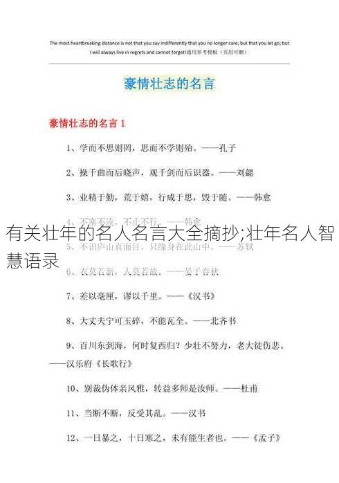 有关壮年的名人名言大全摘抄;壮年名人智慧语录