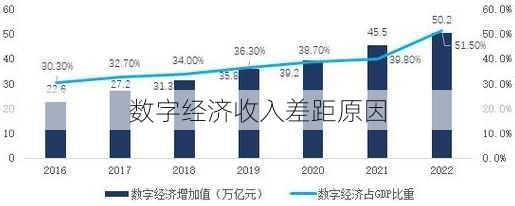 数字经济收入差距原因