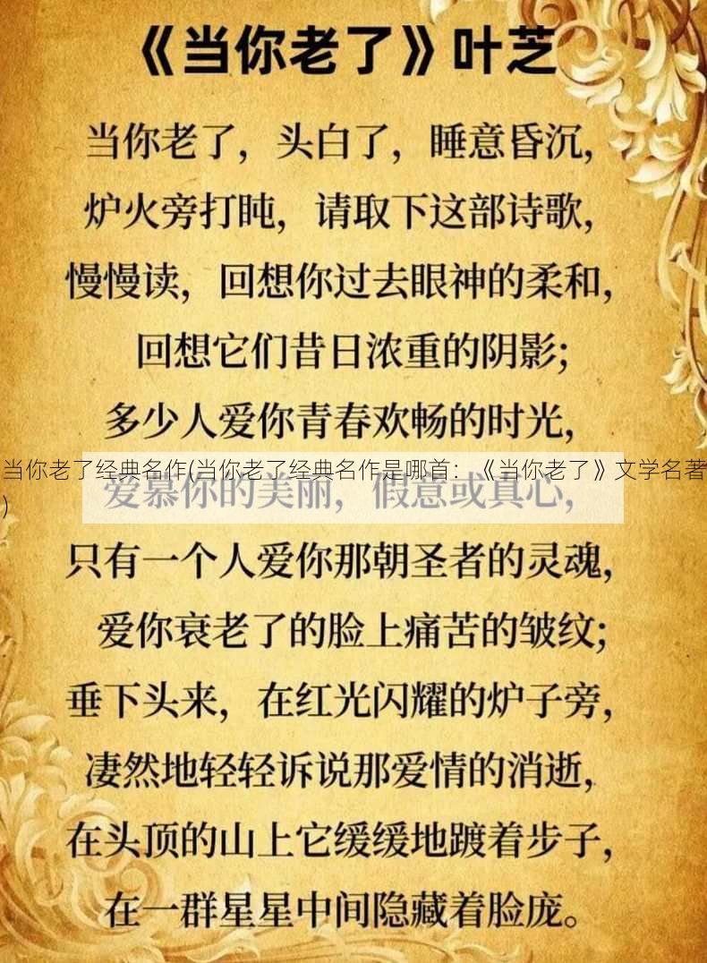 当你老了经典名作(当你老了经典名作是哪首：《当你老了》文学名著)