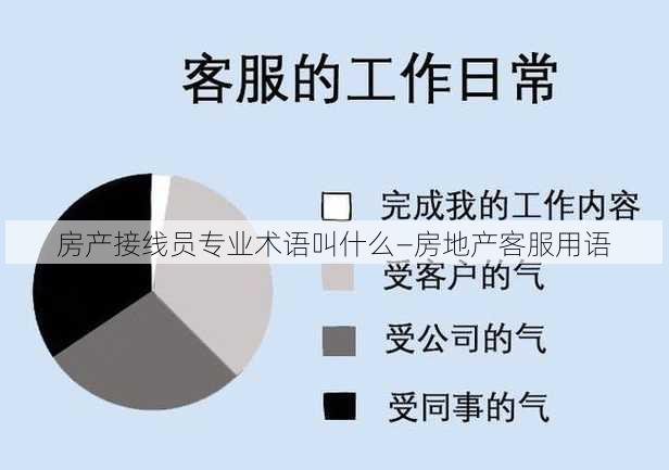 房产接线员专业术语叫什么—房地产客服用语