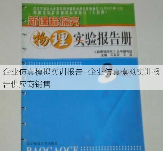 企业仿真模拟实训报告—企业仿真模拟实训报告供应商销售