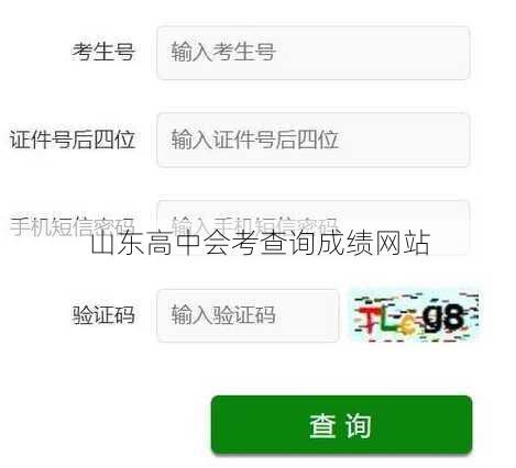 山东高中会考查询成绩网站