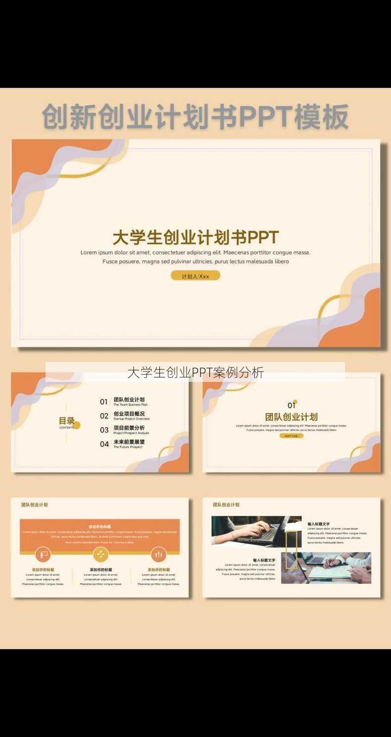 大学生创业PPT案例分析