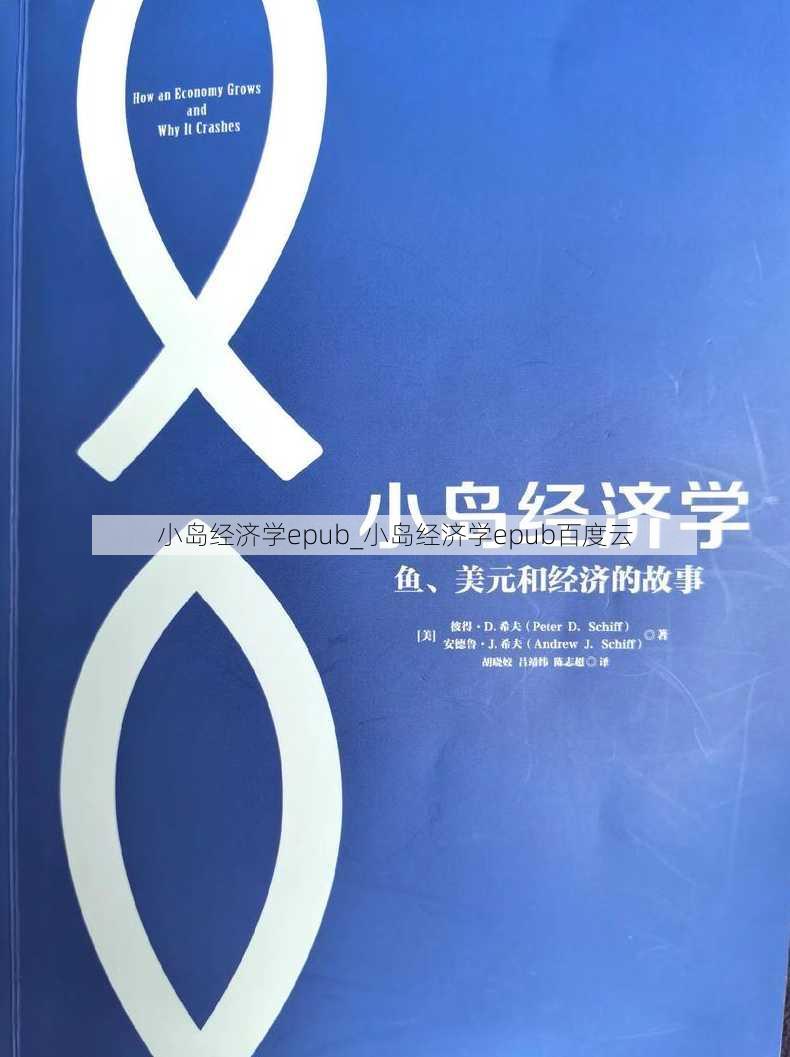 小岛经济学epub_小岛经济学epub百度云