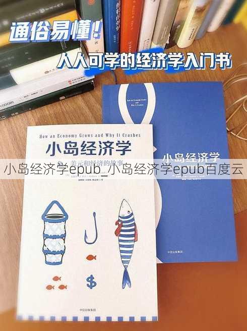 小岛经济学epub_小岛经济学epub百度云